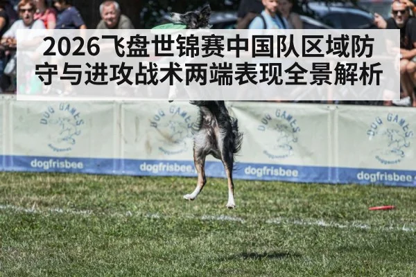 2026飞盘世锦赛中国队区域防守与进攻战术两端表现全景解析